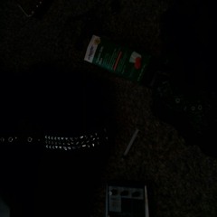 let the bed bugs bite.mp3