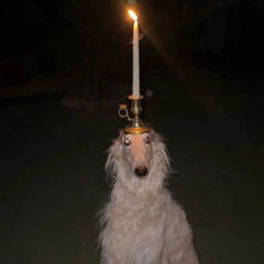 HalloweenJunky The Fifth