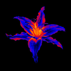 Cyndi Lauper - Time After Time (House Remix) V2