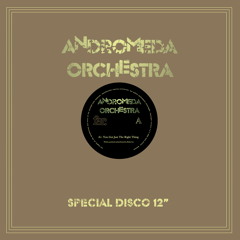 You Got Just the Right Thing (Dub Mix)