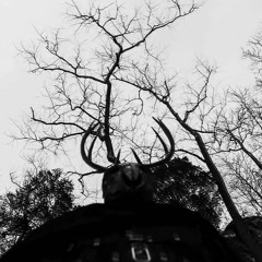 SVDDEN DEATH - ID