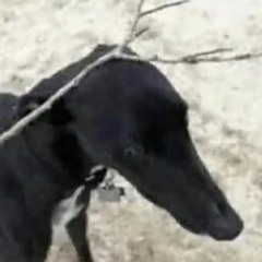 We All Blind [prod. nevrfall]