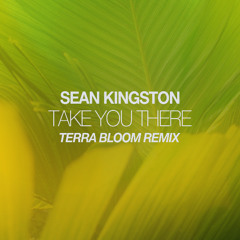 Sean Kingston - Take You There (Terra Bloom Afro House Remix Super Extended) FREE DOWNLOAD