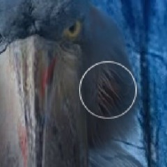 Morning03.02.12.25 (By Zjelezyaka) (Birds last flight)