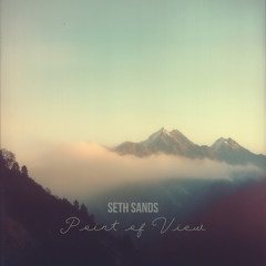 Point of View