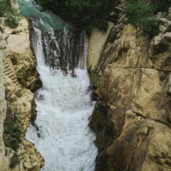 Rainforest River Chase