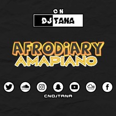 Stream #AfroDiary #Amapiano Mix 7 by CN DJ TANA | Listen online ...