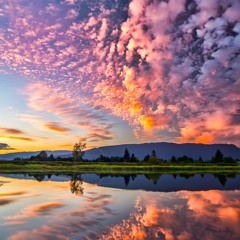 Pink Cloud Mix