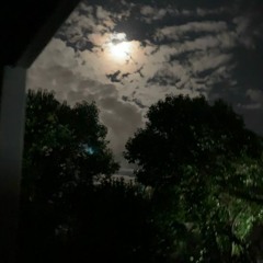 deathinheaven - wish you well