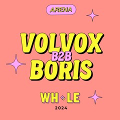 VOLVOX B2B BORIS