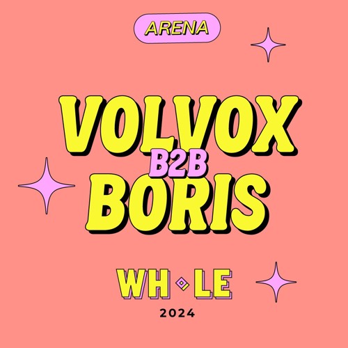 VOLVOX B2B BORIS