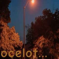 ocelot - choppppp night