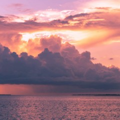 MikeFreedom - New Vision (Free Download)