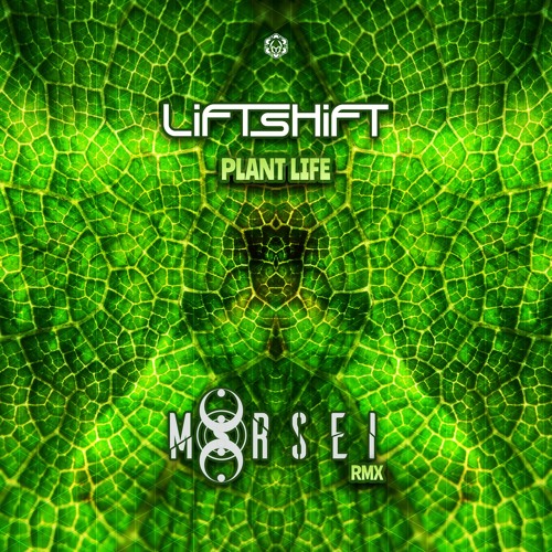 Liftshift - Plant Life (MoRsei Remix)l Out Now on Maharetta Records