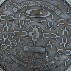 Blanketed by the Trees w/ skychaser, soru (skychaser)