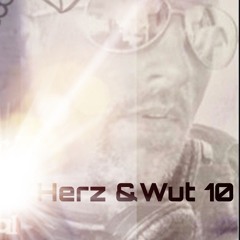Herz&Wut10 2025-01-23_18h02m32
