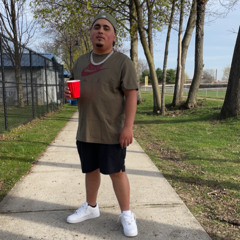 DL