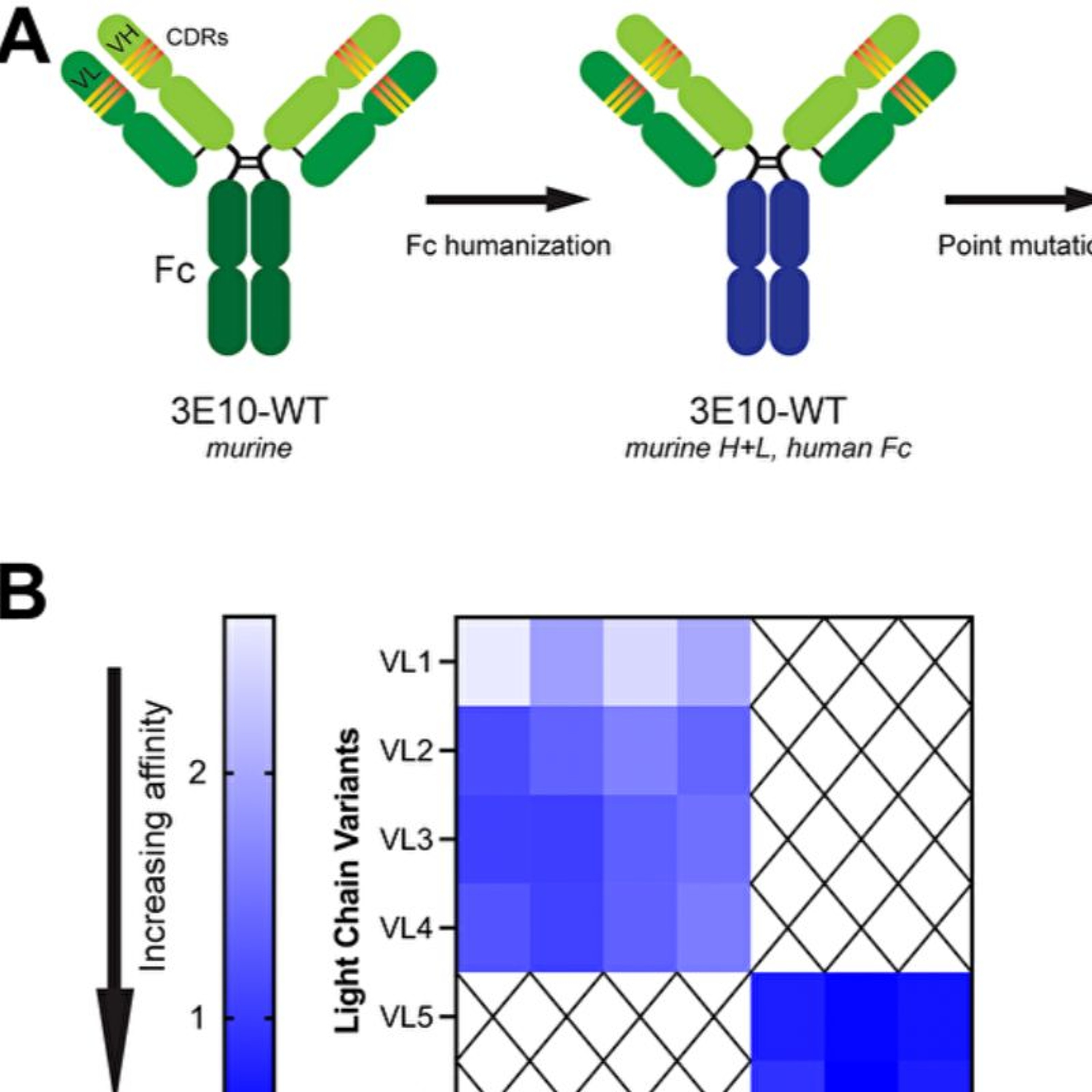 Oncotarget