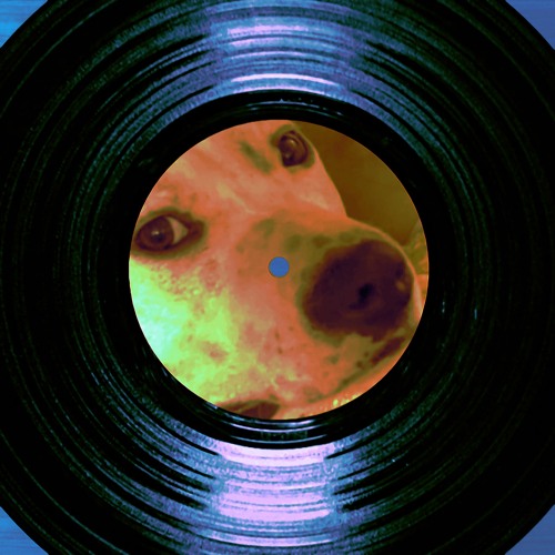 [𝕄𝕒𝕤𝕙𝕦𝕡] 𝑺𝒉𝒂𝒎𝒆 - 𝑰𝒔 𝑰𝒕 𝑨 𝑪𝒓𝒊𝒎𝒆