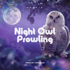 Night Owl Prowling (Prod. By Yung Nab)