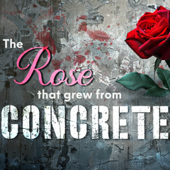 The Rose that Grew from Concrete