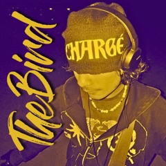 Triangle Des Bermudes - Charger vs ISOXO - Charge (Thebird edit) [SUPPORT BY TIMMY TRUMPET]