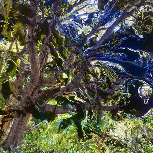 Five Forest Studies, for piano and orchestra (2021-2022)