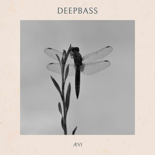 ÆVI - Deepbass