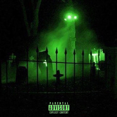 MEET THE GRAVE [p. Levani]