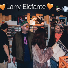 My Red Dog (live from WSB)