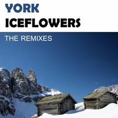 Iceflowers (JPL Remix)