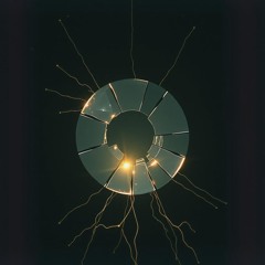 Litany of Flaws (Assemblage of Psychoses)