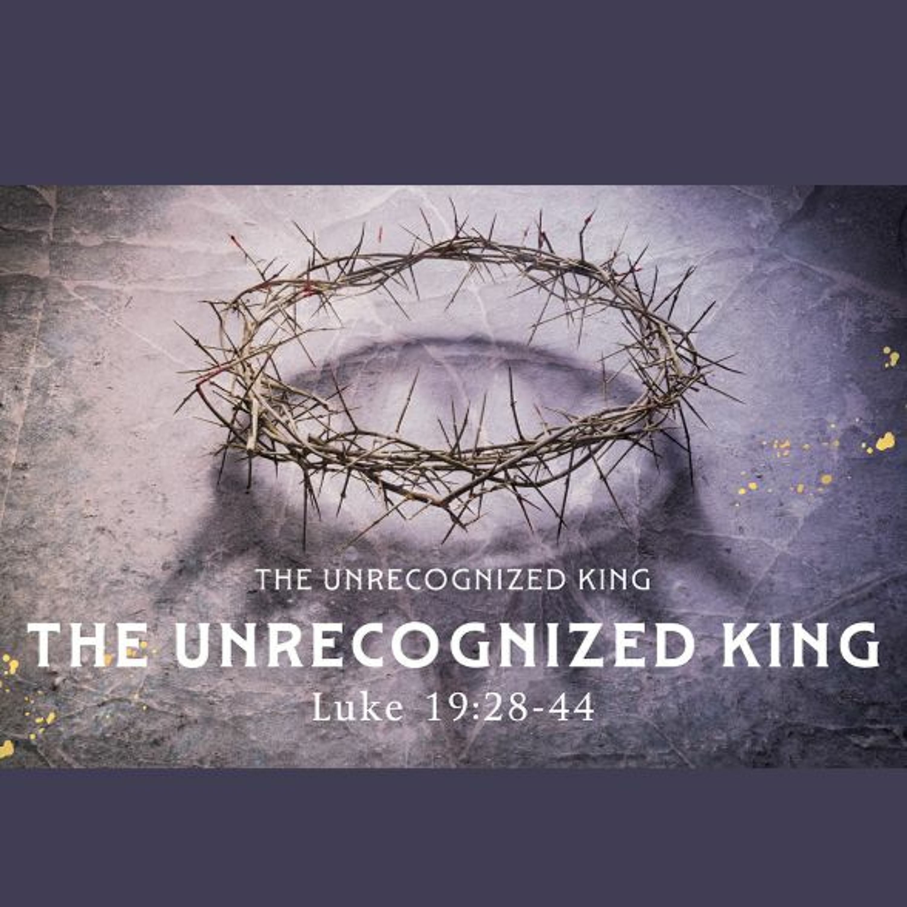 The Unrecognized King, Luke 19:28-44 (Sermon) episode artwork