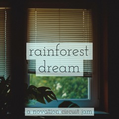 rainforest dream - a novation circuit jam