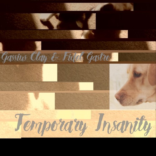 Temporary Insanity