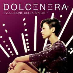 Nel Regime Delle Belle Apparenze