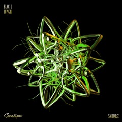 Blac J - Jungli (Original Mix)