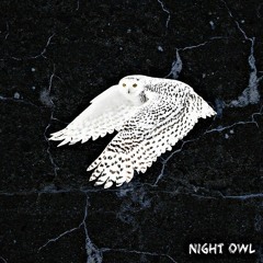 Night Owl