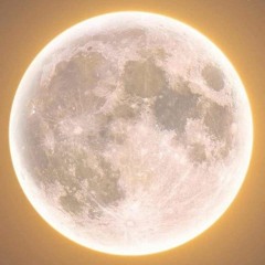 Ramy Gamal – Khaleeky (Official Lyric Video) l رامي جمال - خليكي