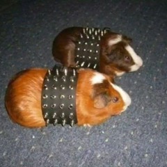 ★do ya like x resonance speed★