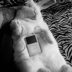 3 subby boys #MUMMY W/ DISOC8 + ASHT0NN (prod.sunrisess + pitfall)