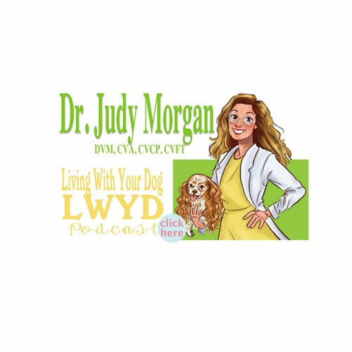 dr judy morgan