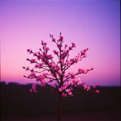 Another story of spring #4