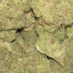 WICKR [FREESTYLE] prod. WXRST