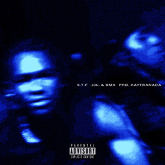 START TO FiNiSH - S.T.F