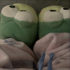 Nettspend Hp (Seepy)