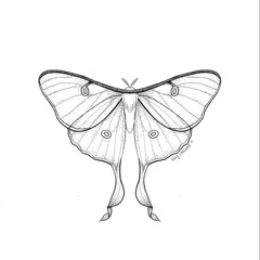 Dorm Room! (Prod. everestdidthis)