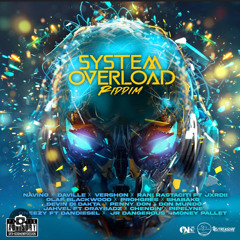 System Overload Riddim Mixed By