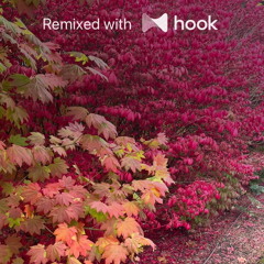 Deorro - Yee (@luckycharm Hook Remix)