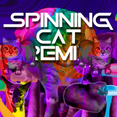 Louie Jenga - Spinning Cat (Drum And Bass Bootleg Edit)
